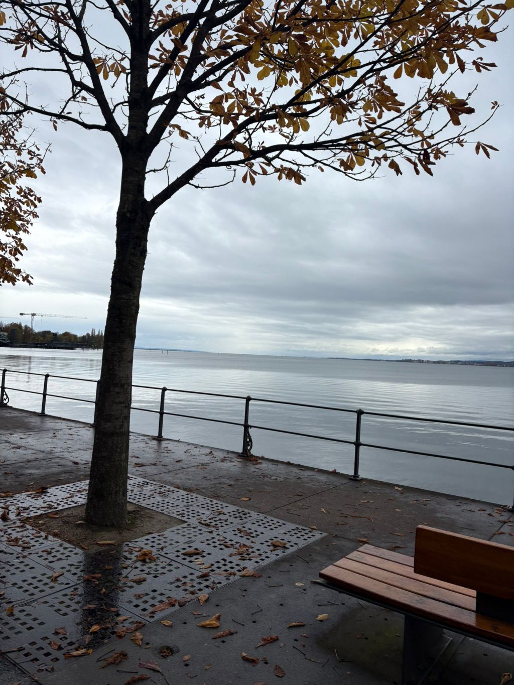 The Stillness Between&nbsp;Things